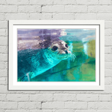 Load image into Gallery viewer, Spotted Seal Close Up