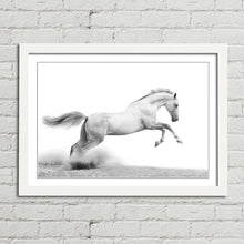Load image into Gallery viewer, Stallion Horse Equestrian