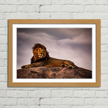 Load image into Gallery viewer, Lion King on Pride Rock