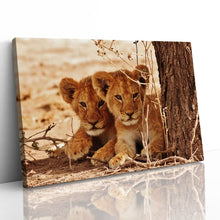 Load image into Gallery viewer, Cute Lion Cubs