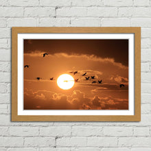 Load image into Gallery viewer, Cranes Flying at Sunset