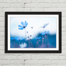 Load image into Gallery viewer, Delicate Blue Flowers