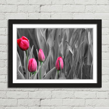 Load image into Gallery viewer, Pink Tulips in Black and White