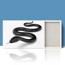 Load image into Gallery viewer, Black Snake with Forked Tongue