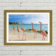 Load image into Gallery viewer, Flamingoes on Aruba Beach