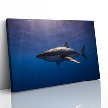 Load image into Gallery viewer, Cage Diving Great White Shark