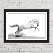 Load image into Gallery viewer, Stallion Horse Equestrian