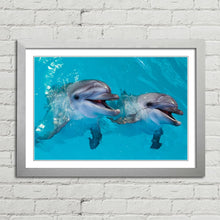 Load image into Gallery viewer, Smiling Dolphins Close Up