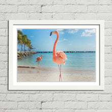 Load image into Gallery viewer, Pink Flamingo in Aruba