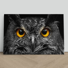 Load image into Gallery viewer, Cute Owl Staring