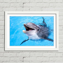 Load image into Gallery viewer, Dolphin Smiling Cute