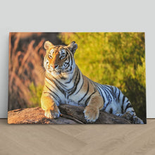 Load image into Gallery viewer, Tiger Big Cat Sitting