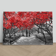 Load image into Gallery viewer, Red Trees Central Park New York