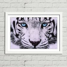 Load image into Gallery viewer, Blue Eyed White Tiger
