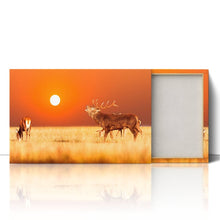 Load image into Gallery viewer, Red Deer Stag at Sunset