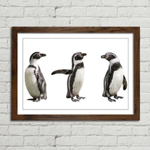 Load image into Gallery viewer, Cute Humboldt Penguin Family