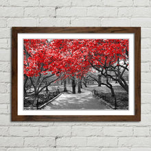 Load image into Gallery viewer, Red Trees Central Park New York