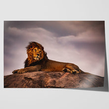 Load image into Gallery viewer, Lion King on Pride Rock