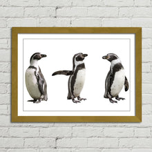 Load image into Gallery viewer, Cute Humboldt Penguin Family