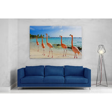 Load image into Gallery viewer, Flamingoes on Aruba Beach