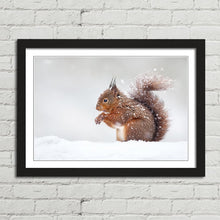 Load image into Gallery viewer, Red Squirrel in Snow England Winter