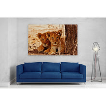 Load image into Gallery viewer, Cute Lion Cubs