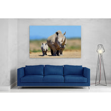 Load image into Gallery viewer, White Rhinoceros Baby