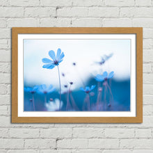 Load image into Gallery viewer, Delicate Blue Flowers