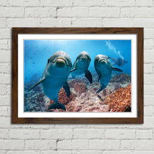 Load image into Gallery viewer, Cute Dolphins Underwater