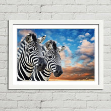 Load image into Gallery viewer, Wild Zebras in Africa