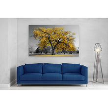 Load image into Gallery viewer, Large Tree with Yellow Leaves Central Park