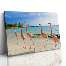 Load image into Gallery viewer, Flamingoes on Aruba Beach