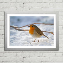 Load image into Gallery viewer, Robin Red Breast Winter Christmas Snow