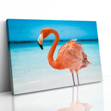 Load image into Gallery viewer, Pretty Pink Aruba Flamingo