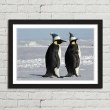 Load image into Gallery viewer, Antarctic Penguins with Santa Hats Christmas