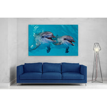 Load image into Gallery viewer, Smiling Dolphins Close Up