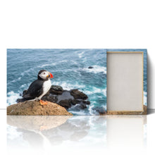 Load image into Gallery viewer, Atlantic Puffin on Cliff