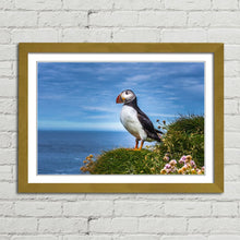 Load image into Gallery viewer, Puffin on Latrabjarg Cliffs