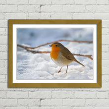 Load image into Gallery viewer, Robin Red Breast Winter Christmas Snow