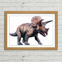 Load image into Gallery viewer, Triceratops Dinosaur