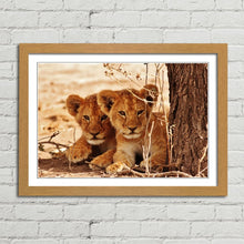 Load image into Gallery viewer, Cute Lion Cubs
