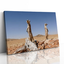Load image into Gallery viewer, Cute Meerkats on Lookout