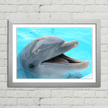Load image into Gallery viewer, Dolphin Smiling Happy