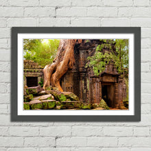 Load image into Gallery viewer, Ta Prohm Temple Cambodia