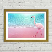 Load image into Gallery viewer, Pink Flamingo on Beach Aruba