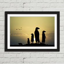 Load image into Gallery viewer, Meerkats at Sunset