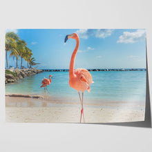 Load image into Gallery viewer, Pink Flamingo in Aruba