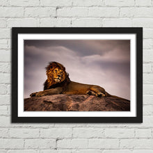 Load image into Gallery viewer, Lion King on Pride Rock