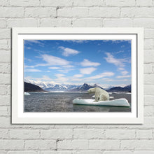 Load image into Gallery viewer, Polar Bear Iceberg