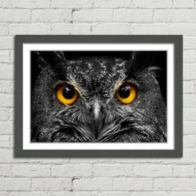 Load image into Gallery viewer, Cute Owl Staring